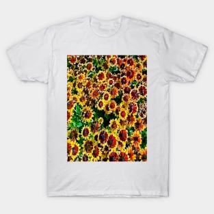 Gaillardia natural pattern T-Shirt